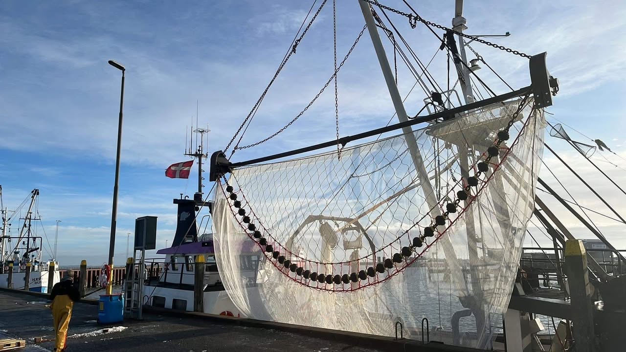 Det selektive hesterejetrawl hænger ved kajen